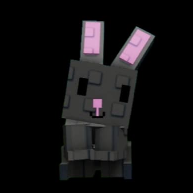 Black Bunny